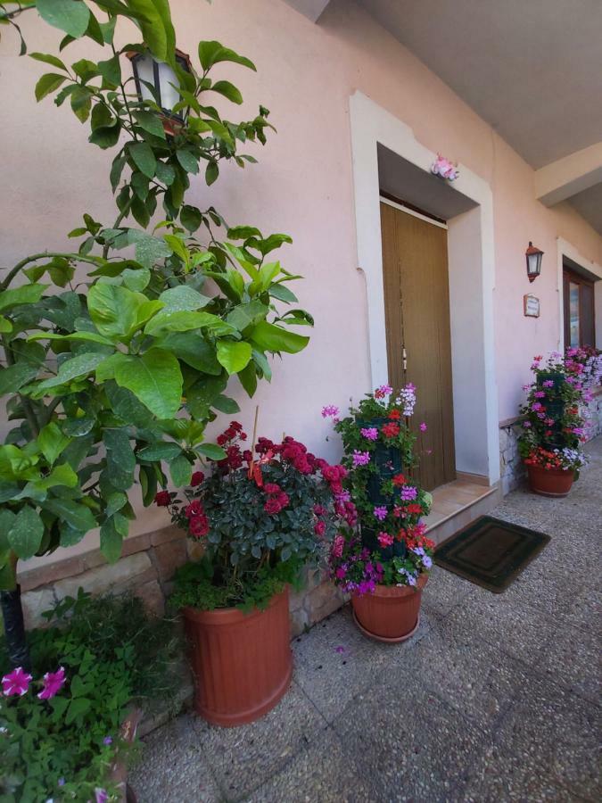 Il Ritrovo Delle Volpi Bed and Breakfast Agerola Exteriör bild
